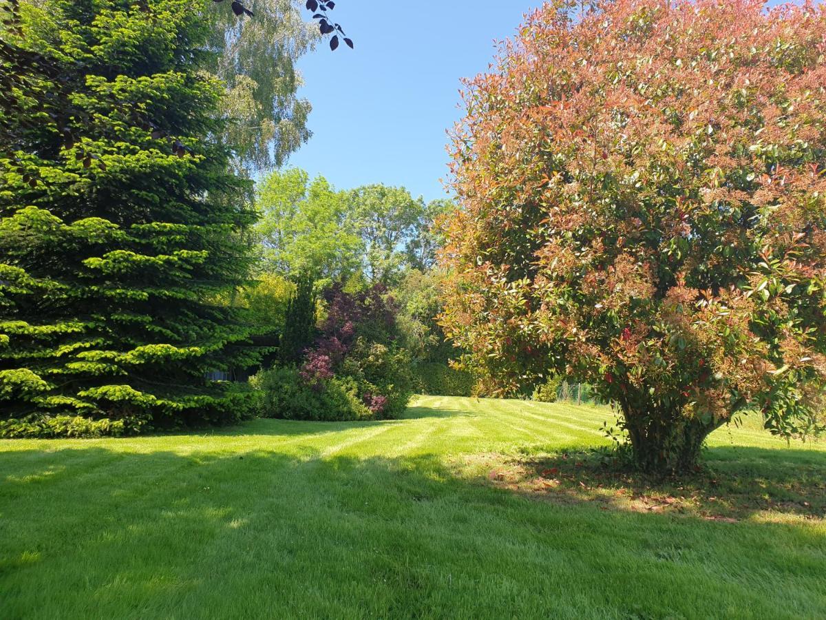 Le Vieux Pressoir Bed & Breakfast Pont-l'Eveque  Luaran gambar