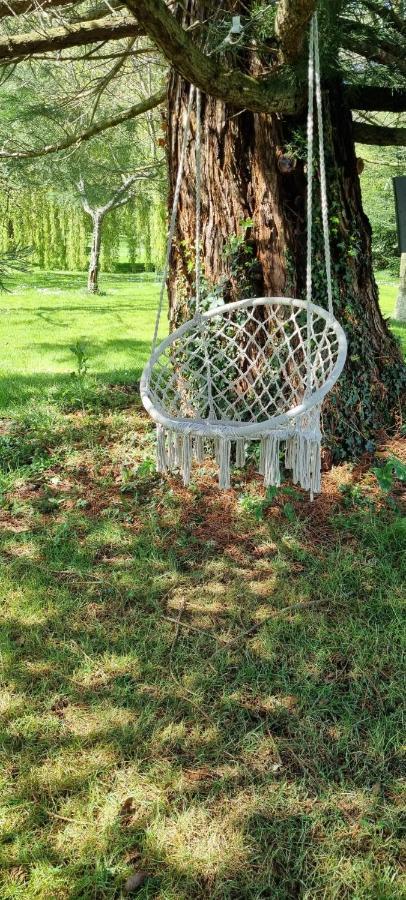 Le Vieux Pressoir Bed & Breakfast Pont-l'Eveque  Luaran gambar